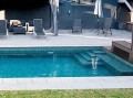 Folia-basenowa-Renolit-ALIVE Green-1,65-m-rolka-41,25-m2